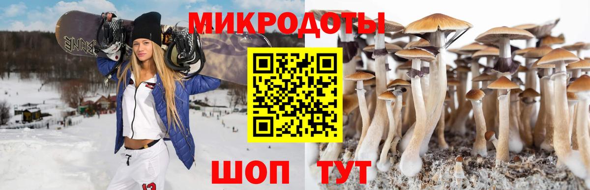 Уварово  продажа наркотиков  Вход с VPN  Псилоцибиновые грибы прущие грибы  Псилоцибиновые грибы Cubensis 